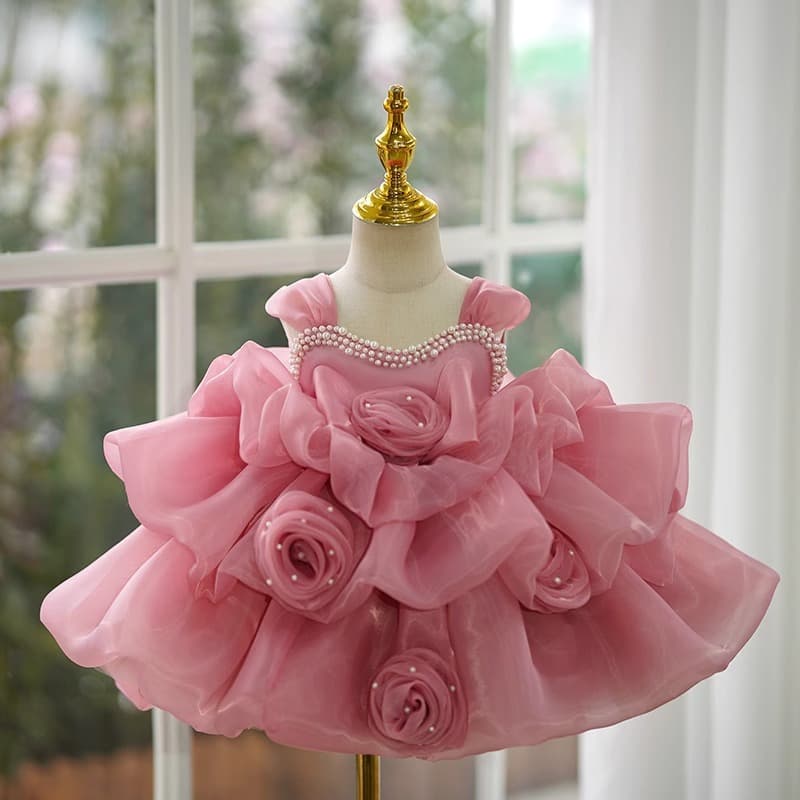 Children's Evening Dress, Flower Girl, Wedding, Little Girl's Tutu Skirt, Girl's 1-Year-Old Princess Dress, Banquet Host Costume