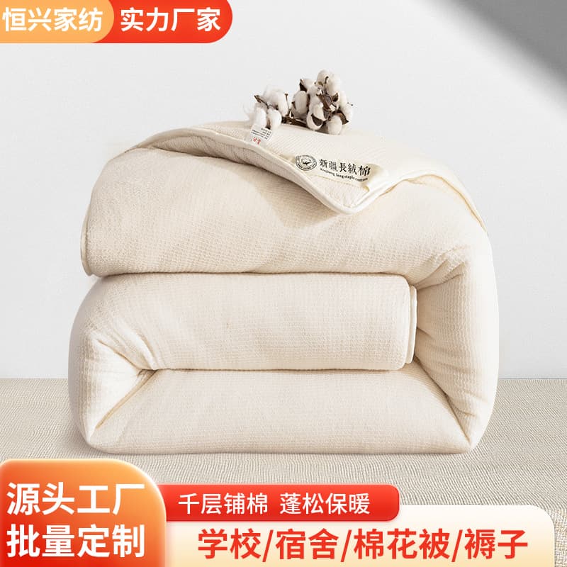 Custom Xinjiang Cotton Duvet Insert, Thickened Mattress Pad for Student Dormitory, Single/Double Bed Quilt, All-Season Customization