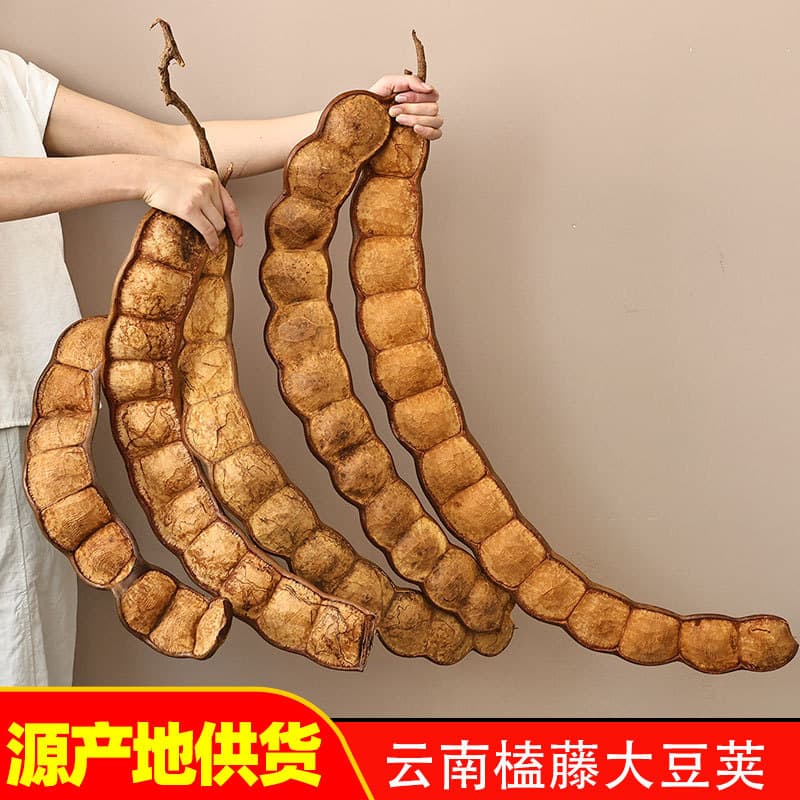 Yunnan Entada Bean Pod Doll Craft Kit, Old Bean Doll, Xishuangbanna Peace Bean, DIY Bean Pod Doll Pendant