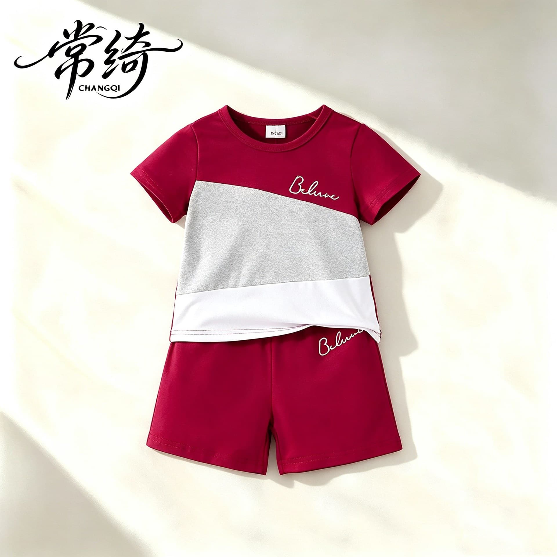 Boys' Outfit Set Kids' Set Children's Clothing Boys' Kids Apparel Boys' Children's Clothes Shorts Set Style