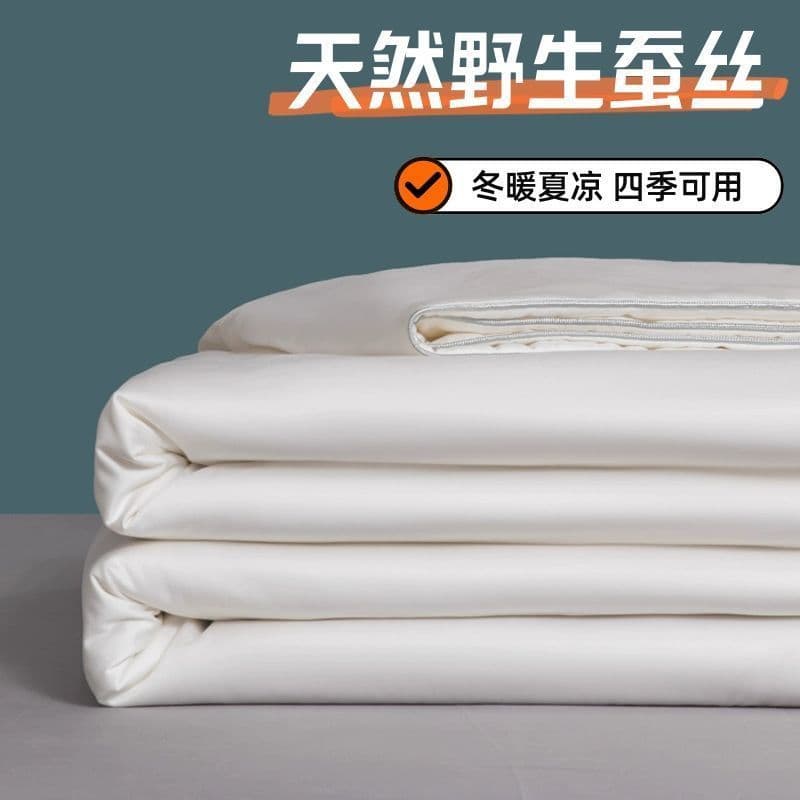 100% Mulberry Silk Quilt, All-Season Spring/Autumn Comforter, Summer Air-Conditioning Lightweight Blanket, Thick Warm Winter Duvet