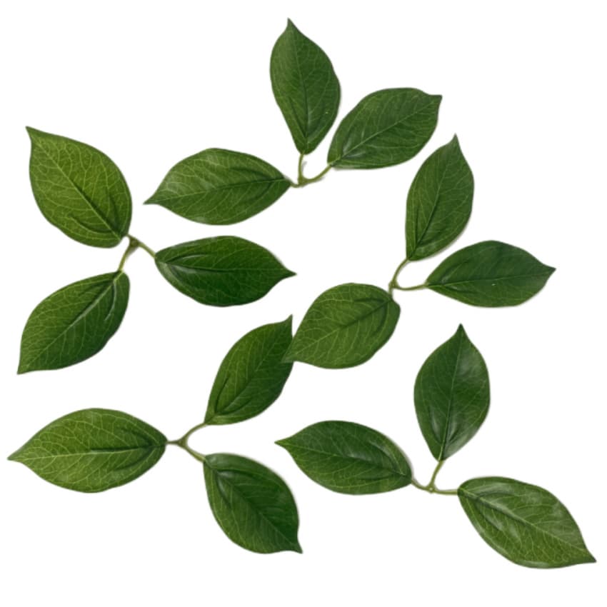 Simulation Plant Simulation Lemon Leaves Fake Leaf Accessories Film Material Manufacturer Direct Sales