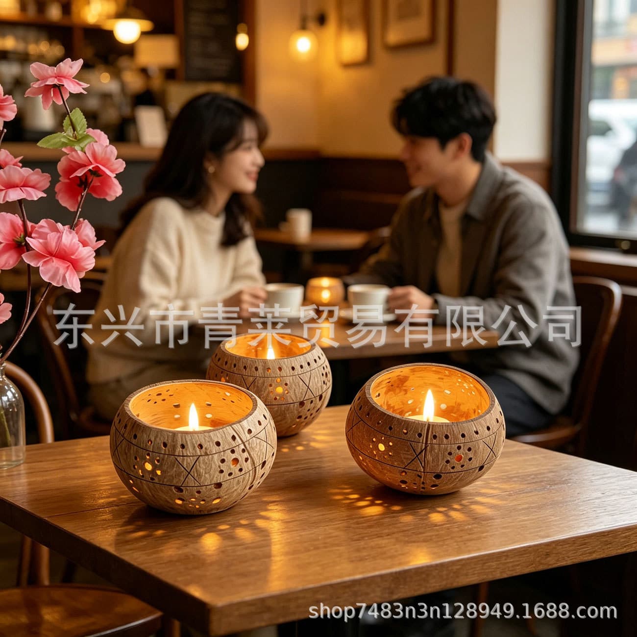 Natural Hollow Coconut Shell Ins Style Atmosphere Artifact Gardening/Lighting/Decoration Multi-purpose
