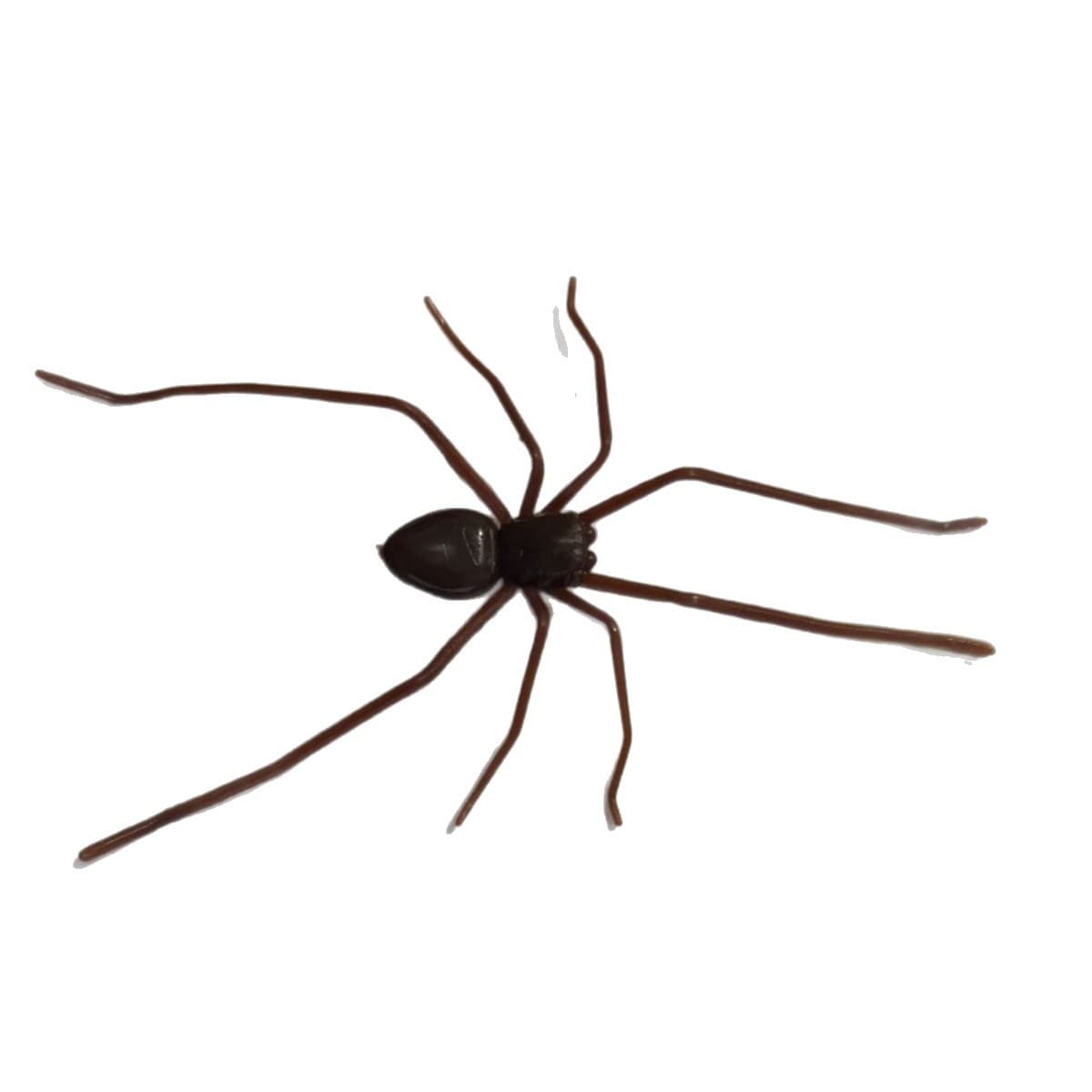 New 2025 Spider Fridge Magnets for Cross-Border Amazon Home Decor