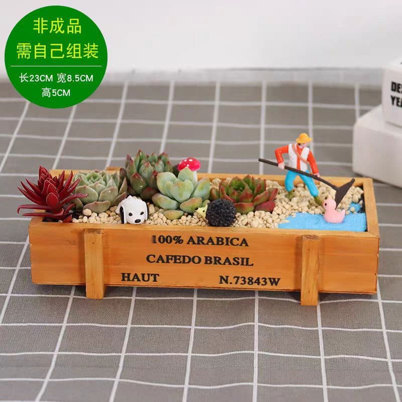 Warm-up Moss Succulent Micro Landscape Ecological Glass Bottle Creative Green Plant DIY Material Kit Decoration Activity Set
