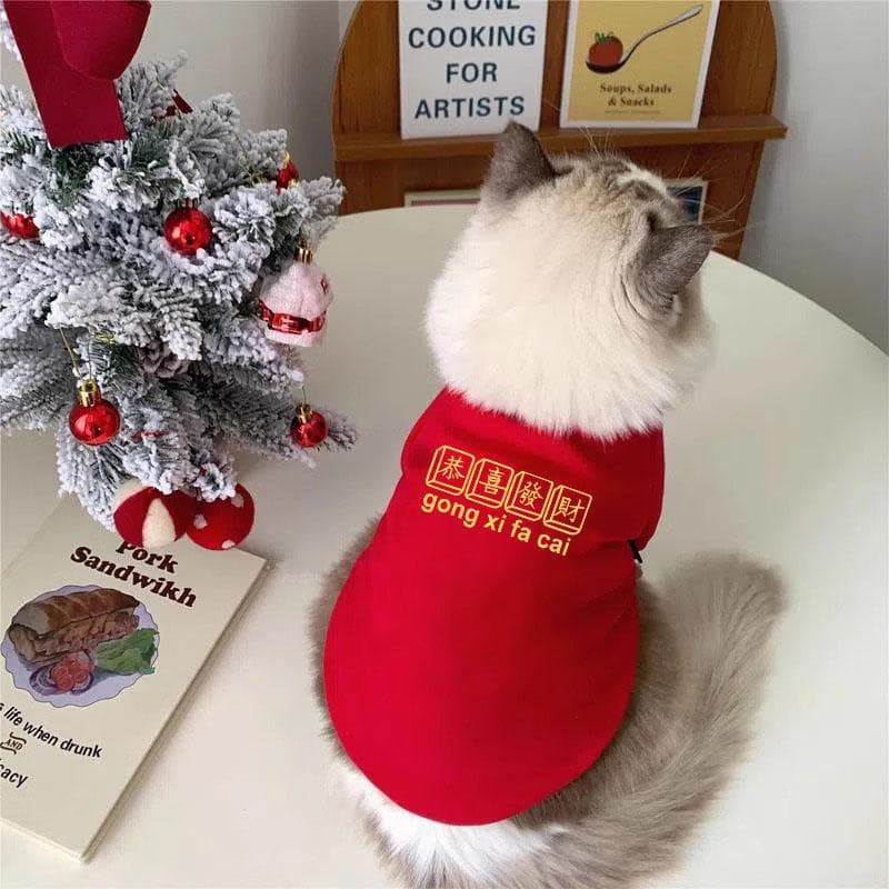 Fleece Lined Cat Clothes for Autumn Winter, Pet Christmas Two Legged Hoodie for Blue Cat British Shorthair Ragdoll Anti Shedding for Kittens and Young Cats