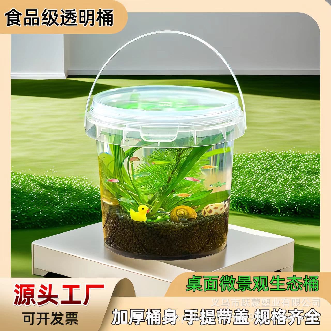 Transparent portable fish-keeping bucket, school biological science micro-landscape ecological bucket, food-grade plastic children's ornamental fish pail