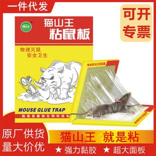 Factory Stock Cat Mountain King Sticky Mouse Board Mouse Trap Sticky Mouse Pad Home Use Large Thickened Mouse Catcher Support Drop Shipping