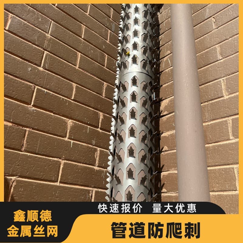Stainless Steel Pipe Spikes, Gas Pipe Sewer Stainless Steel Anti-Climbing Spikes, Rainwater Drainage Pipe Anti-Theft Net Manufacturer