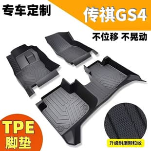 Compatible with Trumpchi GS4 Coupe, Trumpchi GS4 PLUS/GS4 MAX, Trumpchi GS4 Wear-resistant TPE Car Floor Mats