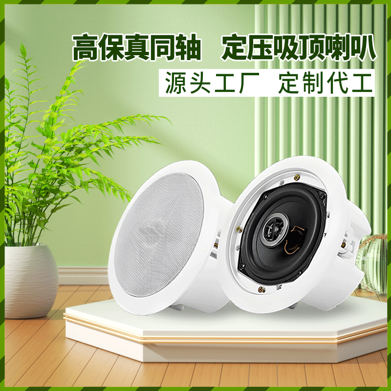 Constant Voltage Ceiling Speaker with Back Cover, Public Broadcast Background Music Coaxial Speaker, Ceiling Speaker with Back Enclosure