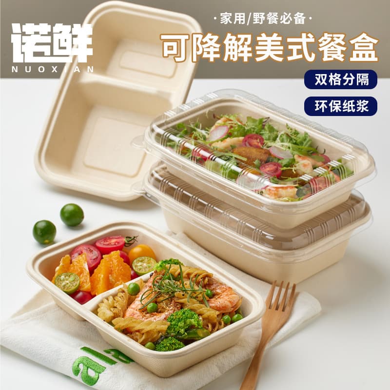Rectangular American-Style Single/Double Compartment Thickened Pulp Food Boxes, Biodegradable Salad Takeaway Meal Containers