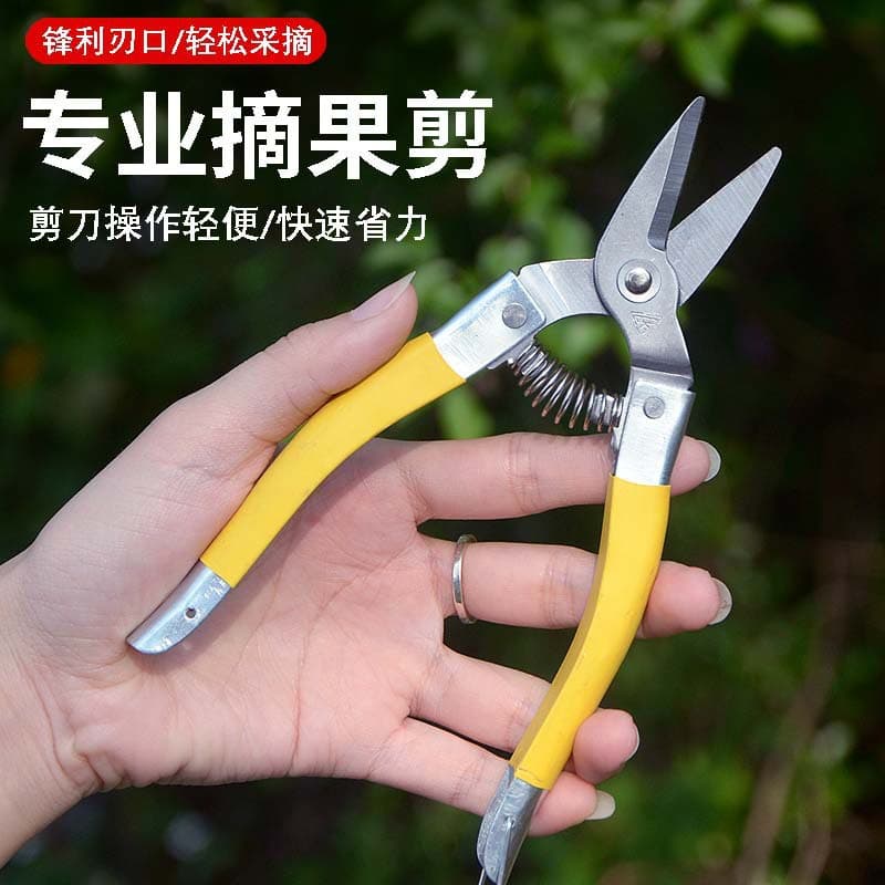 A-grade Luoding fruit scissors, medium yellow, small yellow and thin fruit scissors, garden scissors, stainless steel fruit picking scissors, orange scissors, pruning scissors