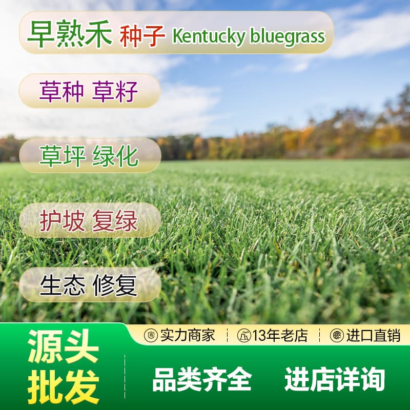 Direct from Source: Blue Label Kentucky Bluegrass Seed, Slope Protection Grass Seed, Project Seed Mix for Superior Evergreen Lawn