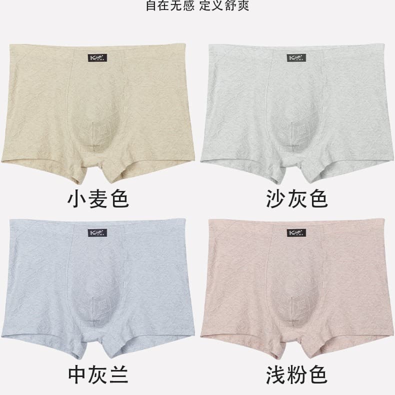 Summer Cotton Men's Boxer Briefs Mid-Rise Quick-Dry Flat Front A-Class Shaped Cotton Skin-Friendly Antibacterial Men's Underwear Wholesale