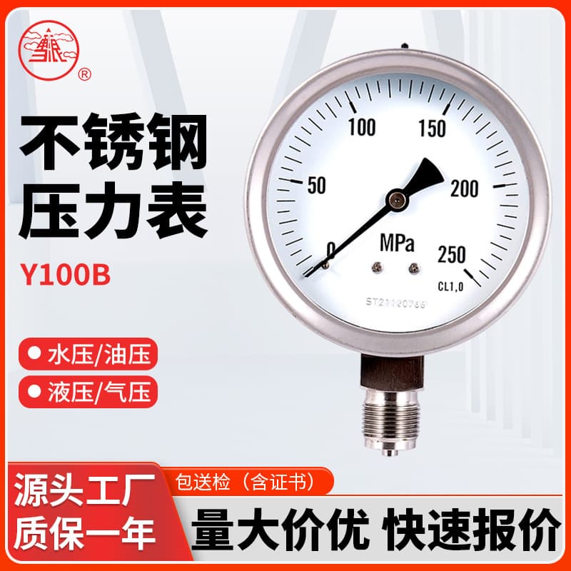 Stainless Steel Vacuum Pressure Gauge 100mm Radial, Air Source Pressure Gauge, High Precision Industrial Pressure Gauge