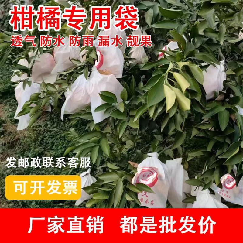 Citrus Fruit Bags, Orange Fruit Bags, Ugly Orange, Ponkan, Insect-Proof and Bird-Proof, Pomegranate, Navel Orange, Fruit Paper Bags
