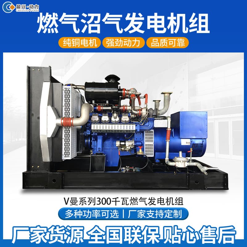 200KW Biogas Generator Set 500kW Gas Generator for Livestock Farms Commercial High Power
