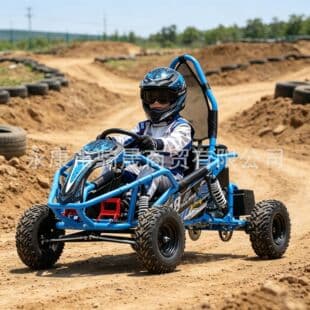 Cross-Border Children Single-Seat Go-Kart 125C Sand Cart Grassland Off-Road All-Terrain Drift Outdoor Go-Kart Wholesale