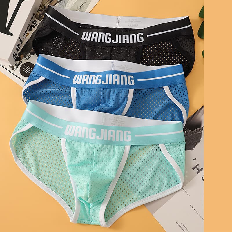 Ice Silk Men's Triangle Underwear Breathable Thin Mesh Quick Dry Comfortable Briefs Sporty Knitted Innerwear for Summer
