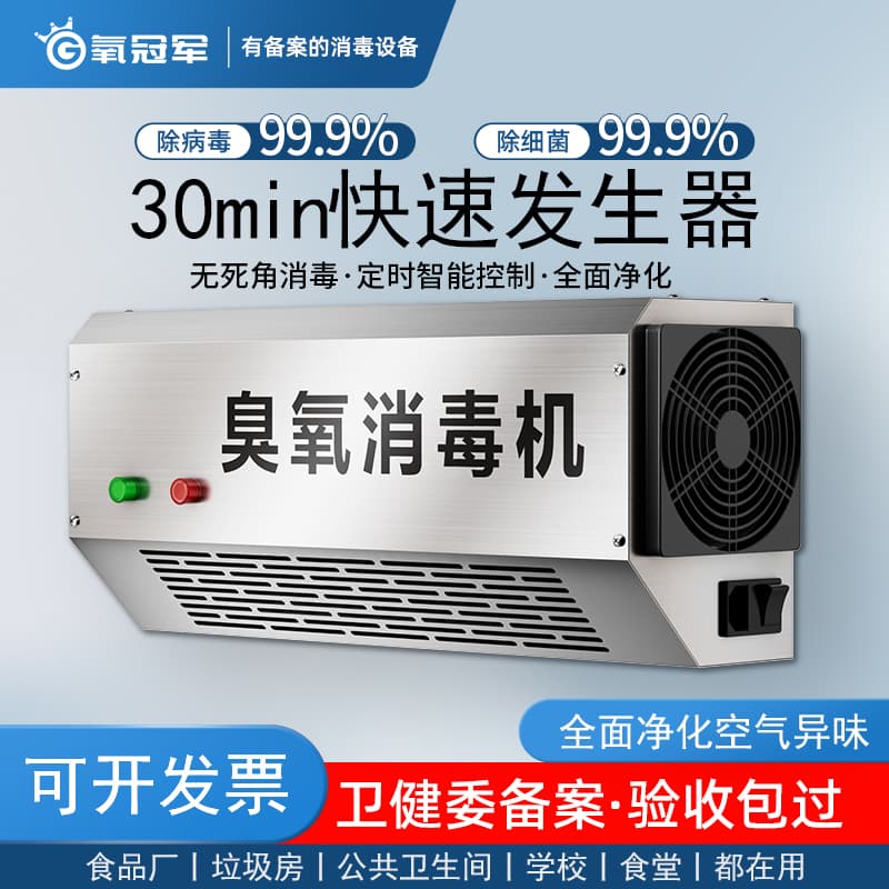 Wall-mounted Ozone Disinfection Machine Food Workshop Disinfector Garbage Room Deodorizing Equipment Industrial Ozone Generator