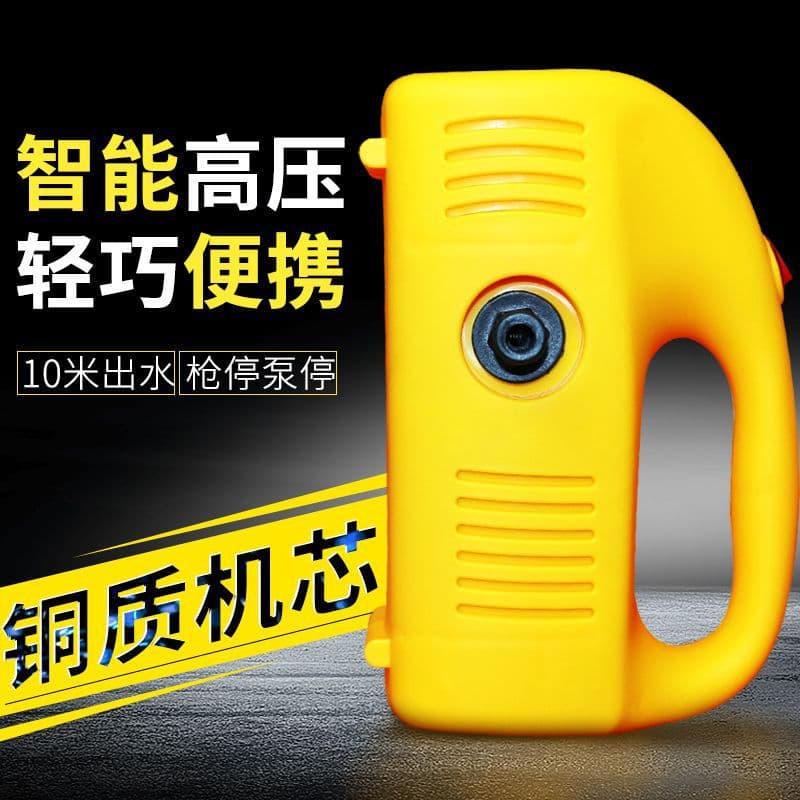12V Car Wash Machine 220V Home High Pressure Car Wash Pump Automatic Portable Water Gun Cleaner