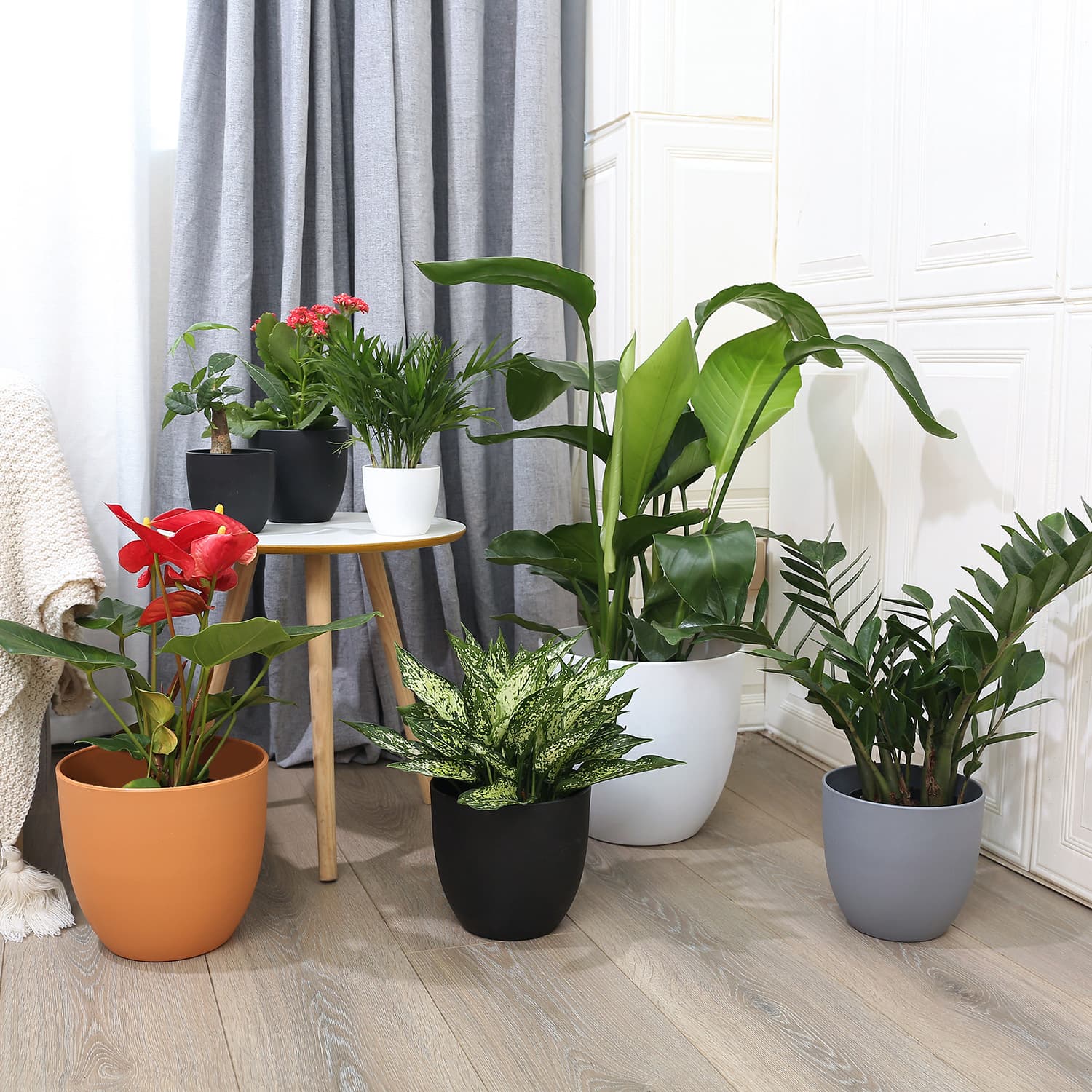 Large Diameter Round Plastic Flower Pots for Succulent Planting Garden Simplistic Desktop or Floor Standing Office Home Decor