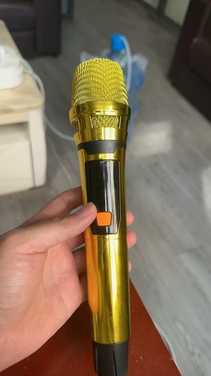 Cross-border wireless microphone one-drag-two for home karaoke KTV sound card, outdoor live streaming 2.4G universal wireless mic