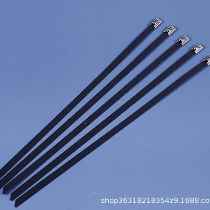 Supply stainless steel spray-coated cable ties in sizes 8*200/250/300/350 and 12mm wide colored 201/304 ties