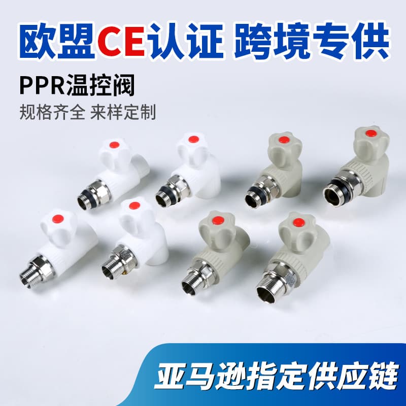 ppr water pipe heating pipe 25ppr temperature control valve radiator flexible valve 4 points 6 points plastic valve