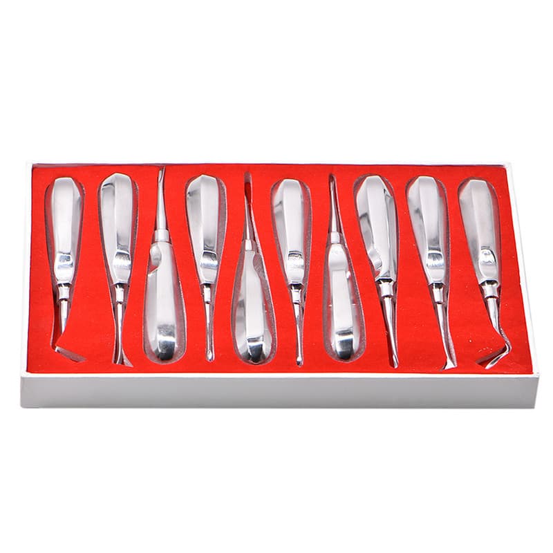 10 Dental Extraction Forceps Stainless Steel Curved Root Forceps Surgical Tools Oral Care Set