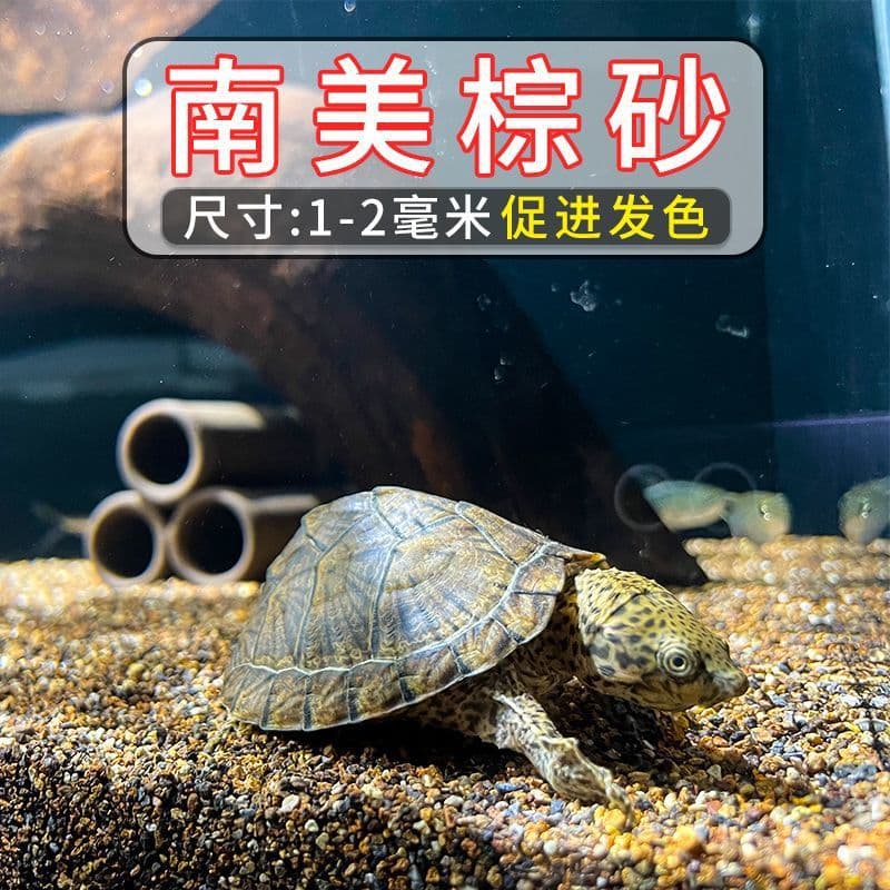 No-Wash Aquarium Substrate Landscaping Rainforest Sand South American Brown Sand Stream Stones Decorative Sand Volcanic Rocks Turtle Bedding