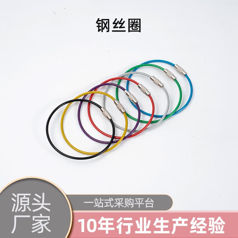 Supply of Stainless Steel Wire Rope Key Rings, Colorful Rubber-Coated Wire Lock Clasps, Cartoon Lanyards, DIY Jewelry Accessories