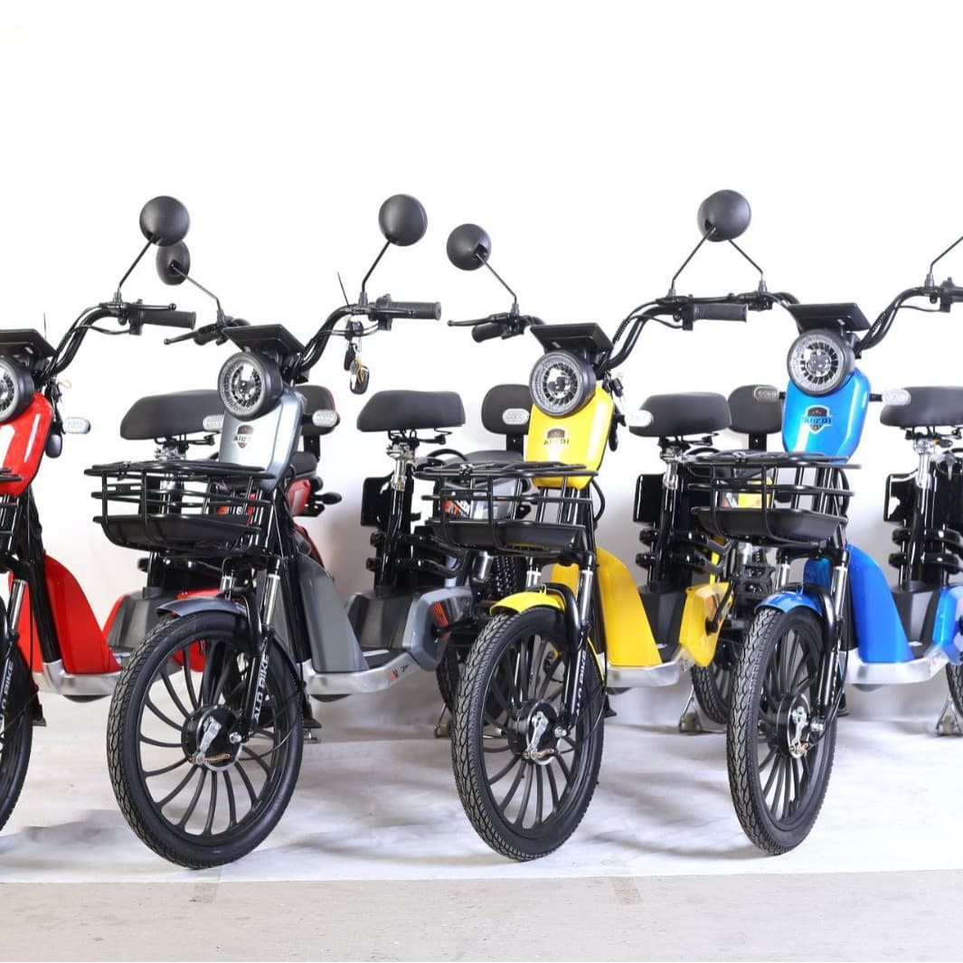 New Adult Electric Scooter Cross-Border Export Commuter Dual-Person Assisted Lightweight Men's 48V Two-Wheeled E-Bike