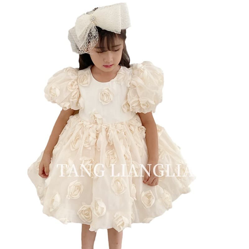 Kids Princess Dress 2026 New Style Rose Birthday Party Dress Host Performance Dress Luxury Niche