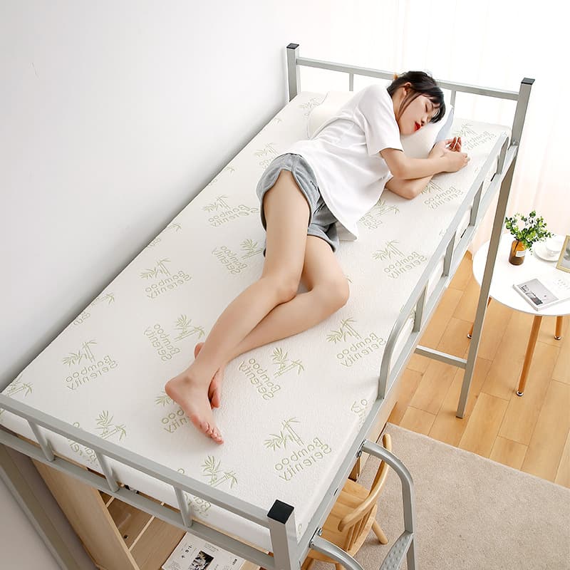 High-Density Foam Mattress for Student Dorms, Single Sleeping Pad, Tatami Soft Mat, Memory Foam Quilt