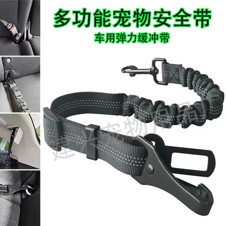 Dog Leash Trainer Tool Durable Nylon Dog Leash Rope Comfortable Handle For Training Walking