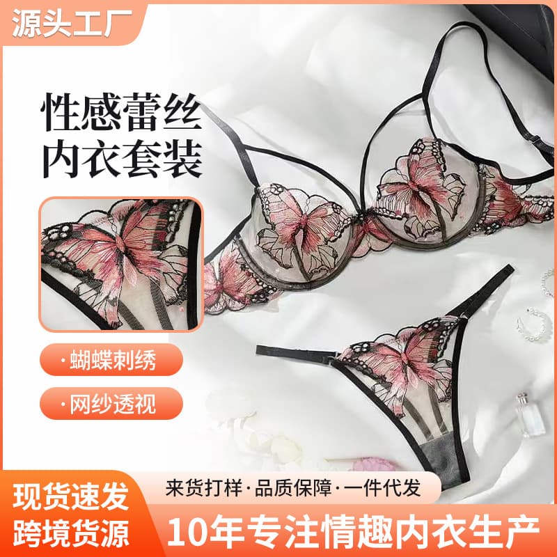 French European Lingerie Lace Mesh Sexy See-Through Butterfly Embroidery Bra Thong Set