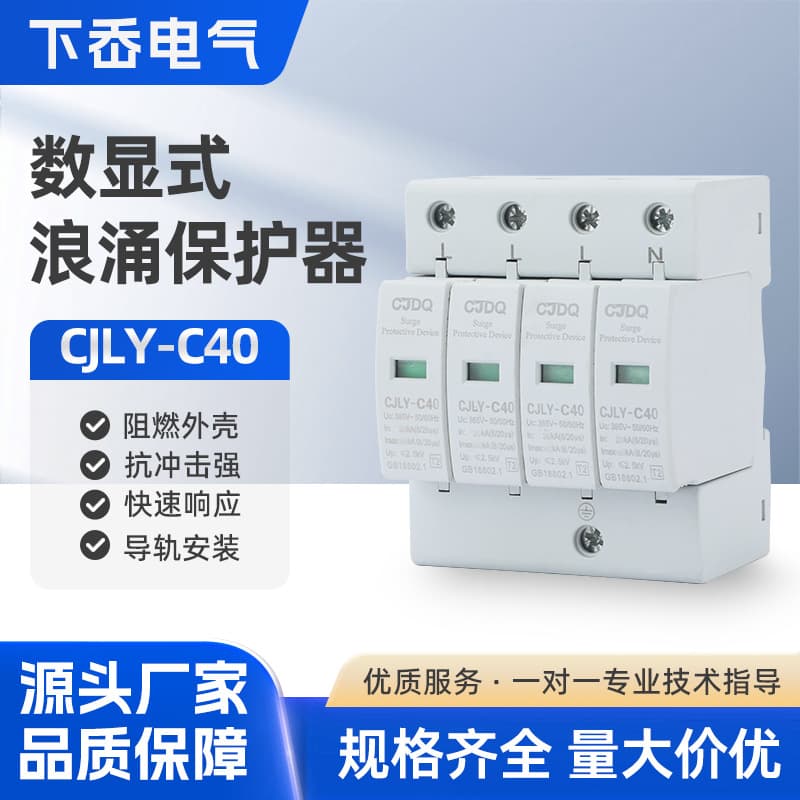 Surge Protector CJLY-C40 Lightning Protection Device Lightning Arrester 220V 2P Secondary Household Surge Switch