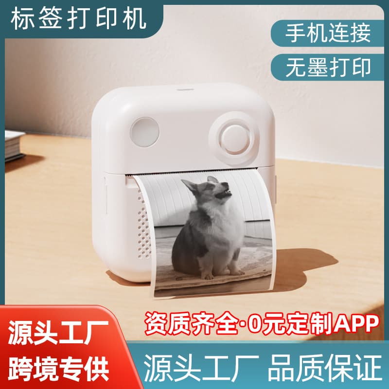 Mini Label Printer, Thermal Printing for Home Use, Portable Photo and Document Mistake Organizer, Home Storage Machine