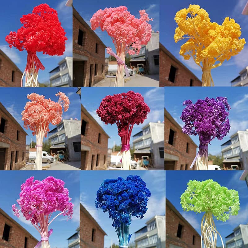 Dried Flower Bouquet with Large Chrysanthemum for Home Decoration and Photography Props Cross-border