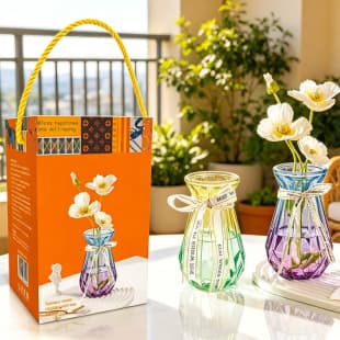 Transparent Glass Vase for Hydroponic Flowers, Pothos, Lucky Bamboo, Lily, Living Room Decorative Arrangement