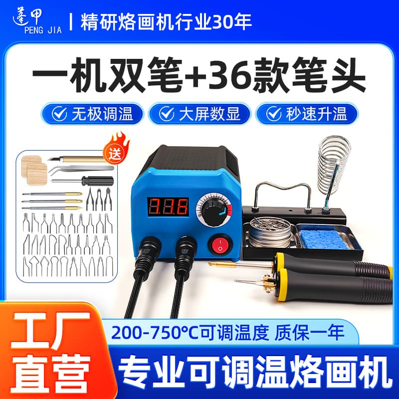 LH55-T2-NS2 Pyrography Wood Burning Pen Temperature Adjustable Professional Woodburning Machine Pyrography Tool for Gourd Wood Board Burning