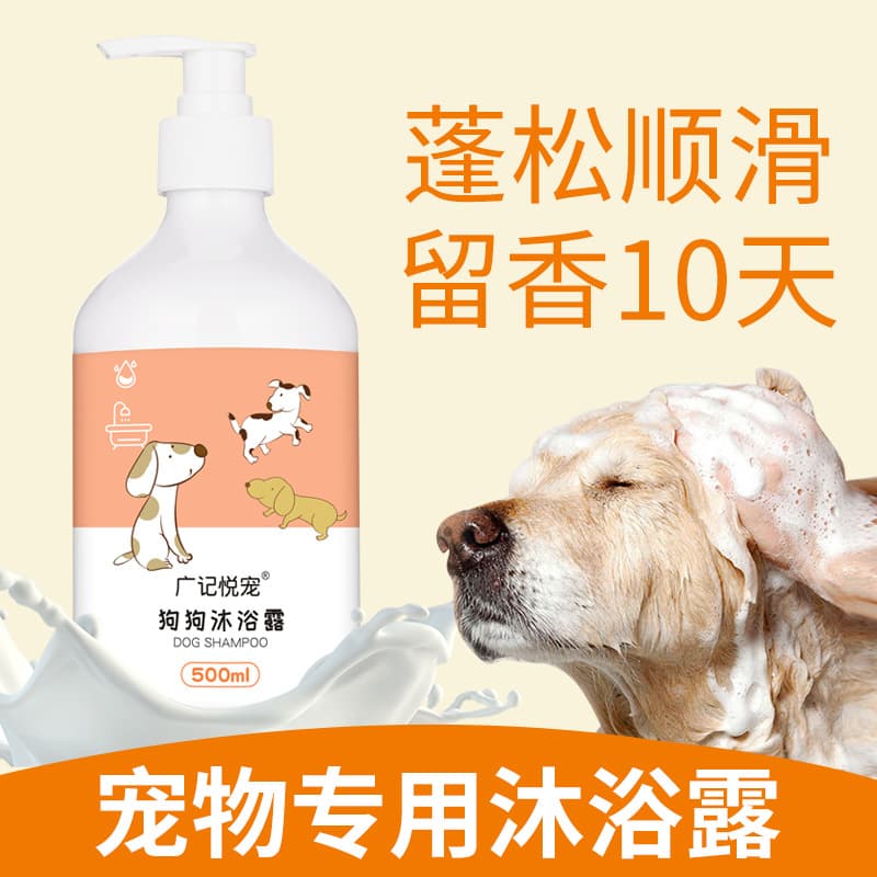 Golden Retriever Dog Shower Gel