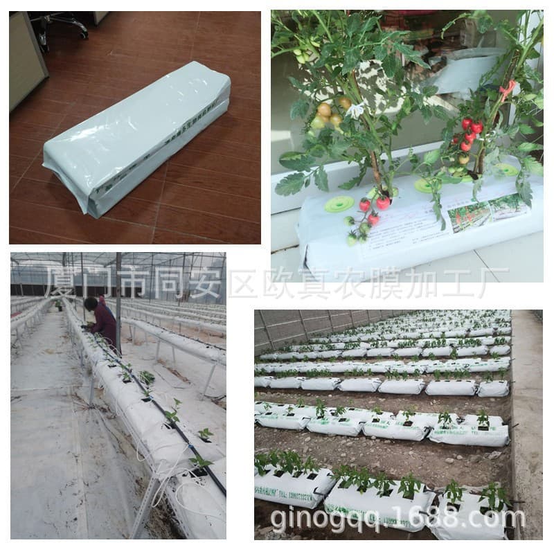 Wholesale Rectangular Soilless Grow Bags - PE New Material Black and White Grow Bags with Organic Substrate Strips, Large Capacity