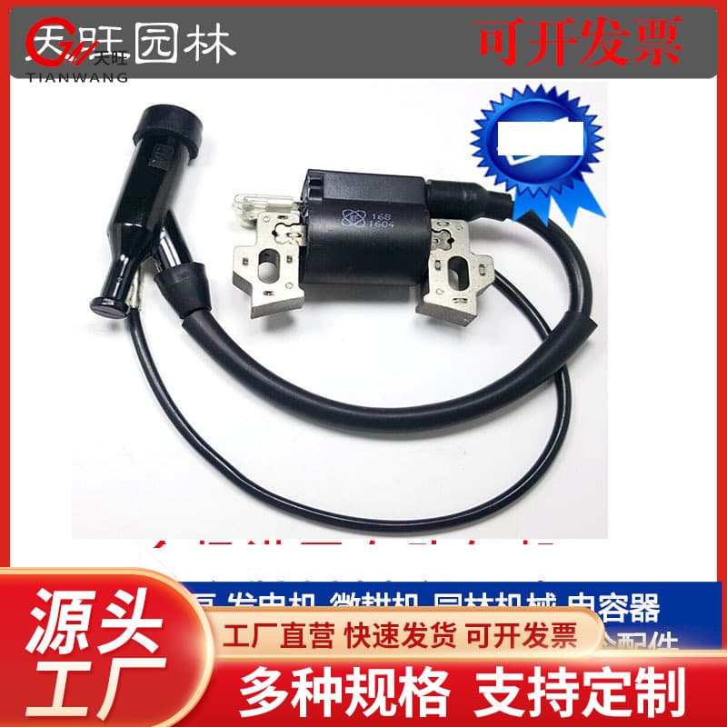 Gasoline generator parts 2KW168 170F 8 high voltage coil GX0 water pump polishing machine ignition coil