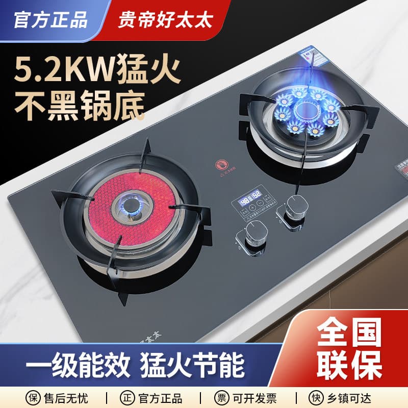 Guidi Good Wife Gas Stove Dual Burner Household Desktop LPG Embedded Natural Gas Infrared High Fire