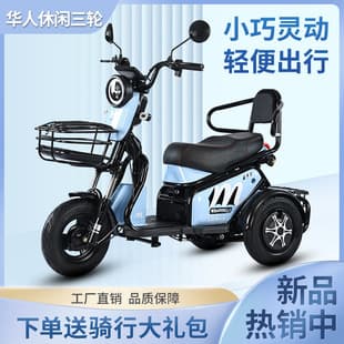 New Electric Tricycle Adult Home Women's Electric Scooter Small Elderly Commuter Child Pickup Electric Three-wheeler