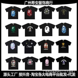 Cross-Border Wholesale High-End Short-Sleeve Letter Print Streetwear Casual Unisex Loose Fit Plus Size T-Shirt
