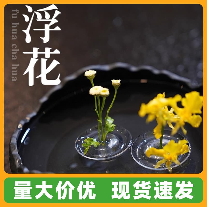 Floating Flower Insert New Style Simple Wabi-Sabi Trendy Flower Vessel Fresh Flower Bowl Flower Pot Vase Living Room Decoration Hydroponic Container